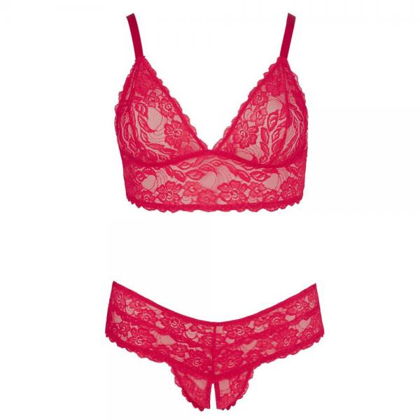 Plus Size Red Lace Bra And Briefs